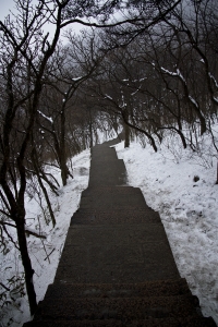 mountain path