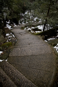 mountain path1
