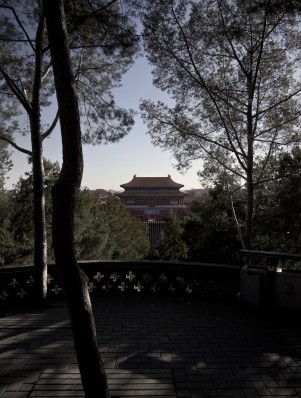 trees_palace_small